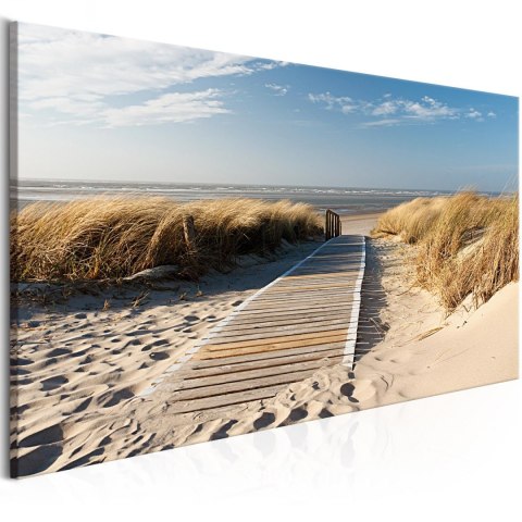 Obraz - Widok na plażę i wydmy Obraz - Widok na plażę i wydmy