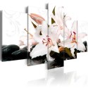 OBRAZ NA ŚCIANĘ DO SALONU, 100 x 50 cm, 5 CZĘŚCIOWY - Kamienie zen i lilie