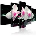 Obraz 5-częściowy - Odpoczynek orchidei
