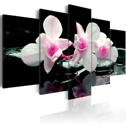Obraz 5-częściowy - Odpoczynek orchidei