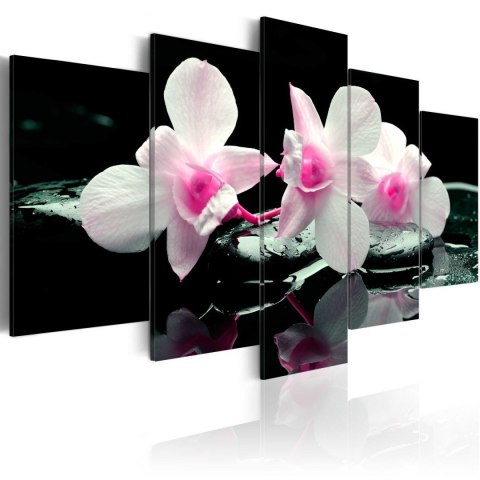 Obraz 5-częściowy - Odpoczynek orchidei Obraz 5-częściowy - Odpoczynek orchidei