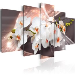 Obraz 5-częściowy - Nowoczesny, Orchidee