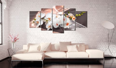 Obraz 5-częściowy - Nowoczesny, Orchidee Obraz 5-częściowy - Nowoczesny, Orchidee