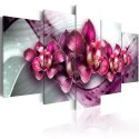 Obraz 5-częściowy - Rubinowe Orchidee