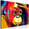 Obraz - Kolorowy orangutan