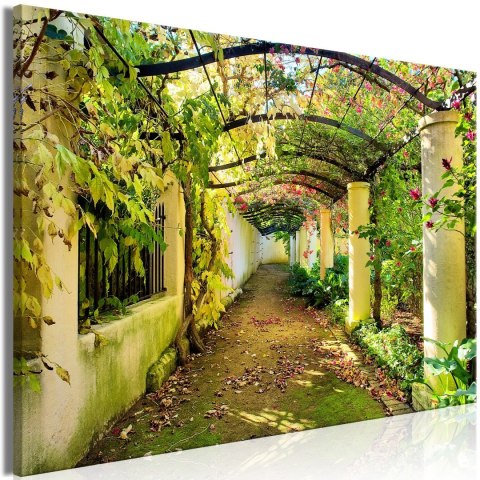 Obraz - Pergola, Ogród Obraz - Pergola, Ogród