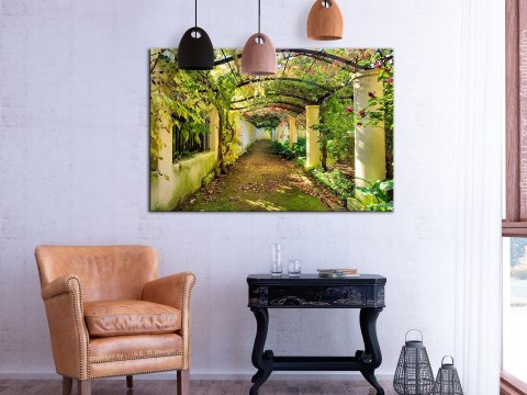 Obraz - Pergola, Ogród Obraz - Pergola, Ogród