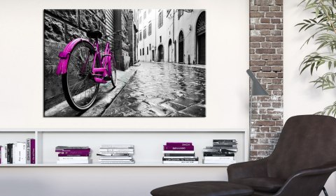 Obraz - Vintage Pink Bike Obraz - Vintage Pink Bike