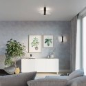 NOWOCZESNY SZKLANY PLAFON, WENGE, SALON, 2 x E27