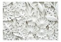 Fototapeta - 3D Płaskorzeźba, Rośliny