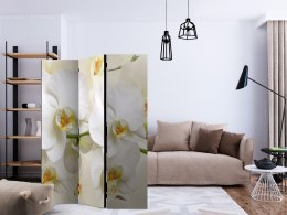 Parawan 3-częściowy - Gałązka orchidei