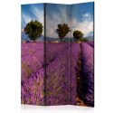 Parawan 3-częściowy - Lavender field in Provence, France