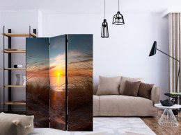 Parawan 3-częściowy - Zachód słońca nad Oceanem Atlantyckim