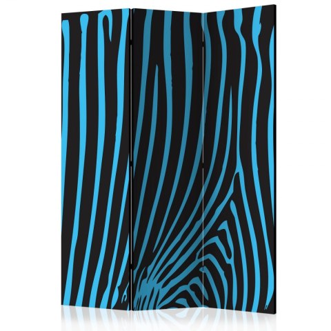 Parawan 3-częściowy - Zebra pattern (turkus)