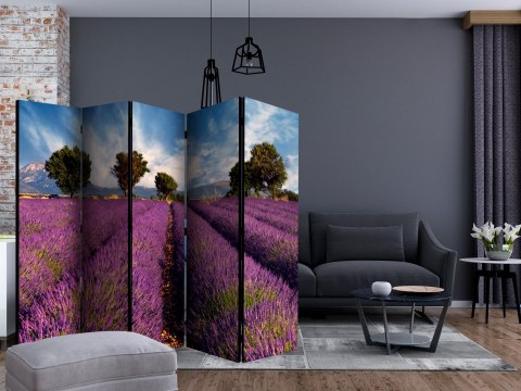Parawan 5-częściowy - Lavender field in Provence, France II Parawan 5-częściowy - Lavender field in Provence, France II