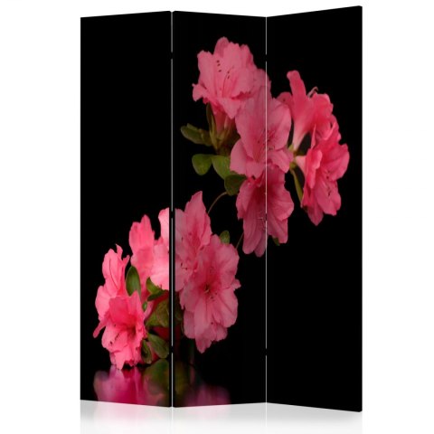 Parawan 3-częściowy - Azalea in Black