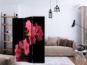 Parawan 3-częściowy - Azalea in Black