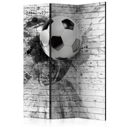 Parawan 3-częściowy - Dynamika futbolu