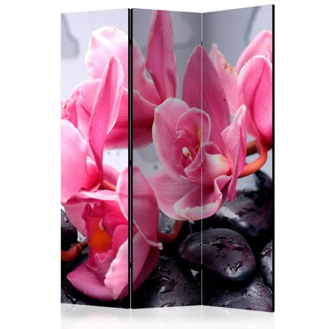 Parawan 3-częściowy - Kwiaty orchidei i kamień