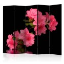 Parawan 5-częściowy - Azalea in Black II