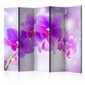 Parawan 5-częściowy - Fioletowe orchidee II