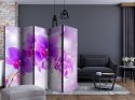 Parawan 5-częściowy - Fioletowe orchidee II