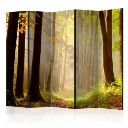 Parawan 5-częściowy - Mysterious forest path II