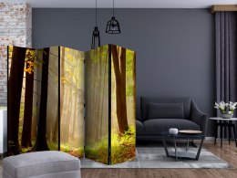 Parawan 5-częściowy - Mysterious forest path II