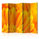 Parawan 5-częściowy - Żółta gerbera II
