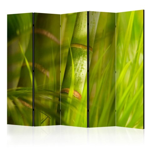 Parawan 5-częściowy - bambus - natura zen II
