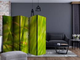 Parawan 5-częściowy - bambus - natura zen II