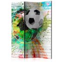 Parawan 3-częściowy - Kolorowy sport Parawan 3-częściowy - Kolorowy sport
