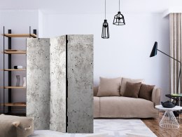 Parawan 3-częściowy - Miejski styl: Beton