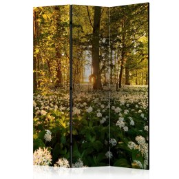 Parawan 3-częściowy - Leśna flora