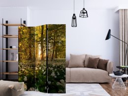 Parawan 3-częściowy - Leśna flora