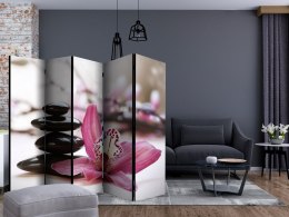Parawan 5-częściowy - Relaxation and Wellness II