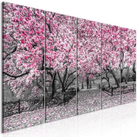 Obraz 5-częściowy - Park magnolii różowy Obraz 5-częściowy - Park magnolii różowy
