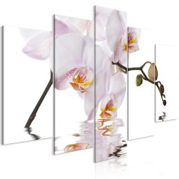 Obraz 5-częściowy - Zachwycająca orchidea