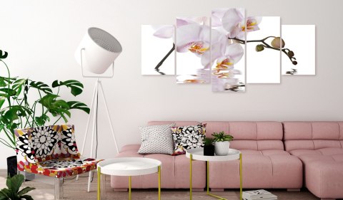 Obraz 5-częściowy - Zachwycająca orchidea Obraz 5-częściowy - Zachwycająca orchidea