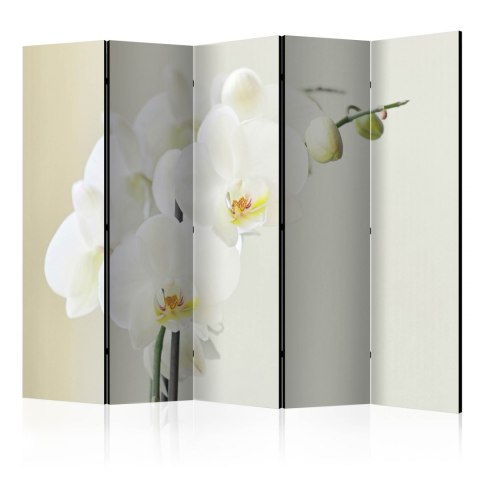Parawan 5-częściowy - Biała orchidea II