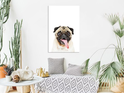 Obraz - Mops pionowy Obraz - Mops pionowy