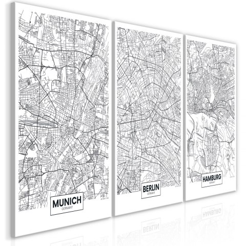 OBRAZ NA ŚCIANĘ DO SALONU, 60 x 30 cm, 3 CZĘŚCIOWY - OBRAZ NA ŚCIANĘ DO SALONU, 60 x 30 cm, 3 CZĘŚCIOWY -