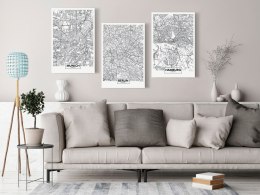 OBRAZ NA ŚCIANĘ DO SALONU, 60 x 30 cm, 3 CZĘŚCIOWY -