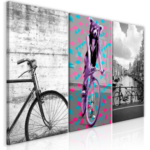 OBRAZ NA ŚCIANĘ DO SALONU, 60 x 30 cm, 3 CZĘŚCIOWY - Rowery, Zabawny OBRAZ NA ŚCIANĘ DO SALONU, 60 x 30 cm, 3 CZĘŚCIOWY - Rowery, Zabawny