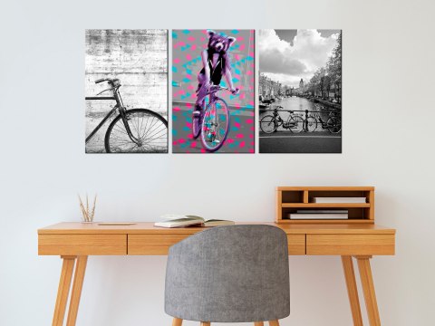 OBRAZ NA ŚCIANĘ DO SALONU, 60 x 30 cm, 3 CZĘŚCIOWY - Rowery, Zabawny OBRAZ NA ŚCIANĘ DO SALONU, 60 x 30 cm, 3 CZĘŚCIOWY - Rowery, Zabawny