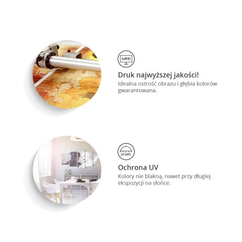 Obraz - Trzy motyle pionowy