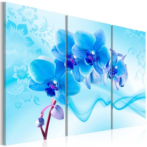 Obraz - Eteryczna orchidea - błękit Obraz - Eteryczna orchidea - błękit