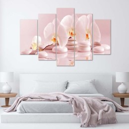 Obraz 5 częściowy na płótnie 100 x 70 cm - Storczyk na kamieniach