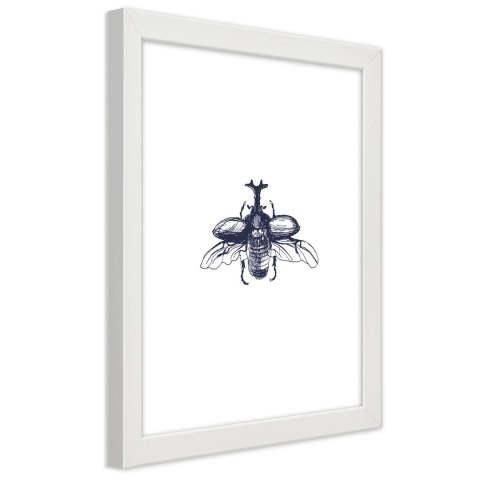 Plakat w białej ramie - Lecący żuk Plakat w białej ramie - Lecący żuk