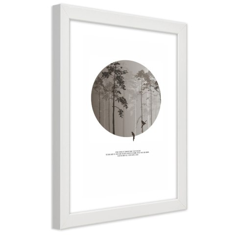 Plakat w białej ramie - Ptaki w lesie Plakat w białej ramie - Ptaki w lesie
